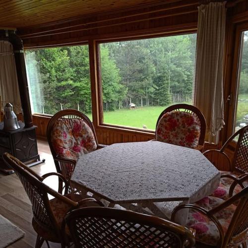 Petunya Orman Evi in Mengen