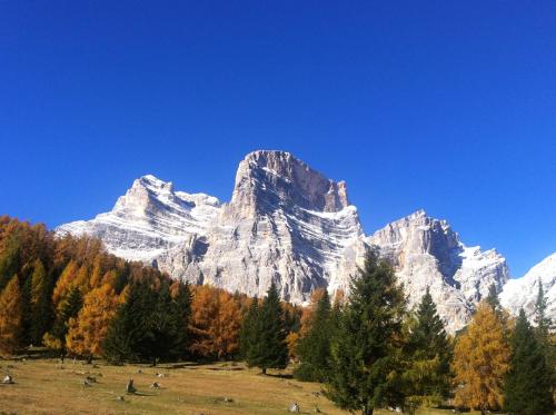 A környék, Appartamento Sole in Borca di Cadore