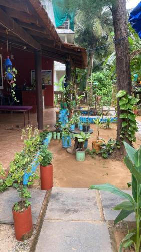 Tusker Tribe Hostel