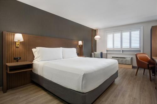 Holiday Inn Hotel & Suites St.Catharines-Niagara By IHG in St. Catharines
