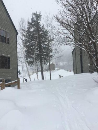 SKI-ON SKI-OFF Getaway at Winterplace - hot tubs, pool, fireplace in Ludlow, USA