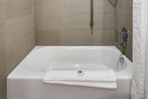 Comfort Inn & Suites Logan Near University - image 11