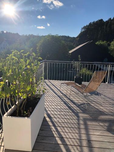 Stilvolle Wohnung für bis zu 5 Personen - mit riesiger Dachterrasse (Stilvolle Wohnung fur bis zu 5 Personen - mit riesiger Dachterrasse) in هايجيرلوش