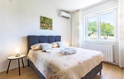 Awesome Apartment In Nedescina in Ruzici