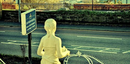 Tayview Hotel - image 2