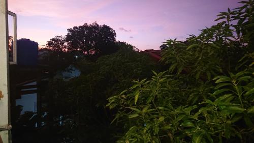 CANAAN MUSIC Hotel - image 2