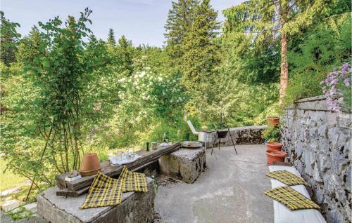 Awesome Apartment In Delnice With Wifi