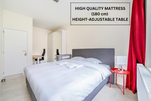 Center of Antwerp - Fully Renovated - Private Indoor Parking, Amberes (foto 4)