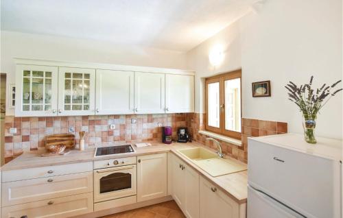 廚房, 奧斯特拉維察兩臥室公寓 (Two-Bedroom Apartment In Ostrvica) in 奧斯特維卡