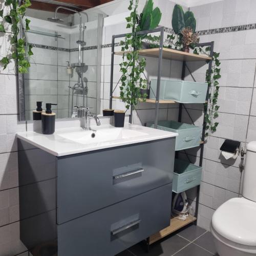 Bathroom, Charmant studio d'invite - Baie-Mahault in Baie-Mahault