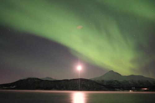 . Arctic Sky Sanctuary