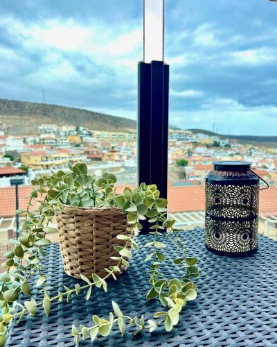 Casa Tucan - two bedrooms, heated pool, city and ocean views Casa Tucan - two bedrooms, heated pool, city and ocean views