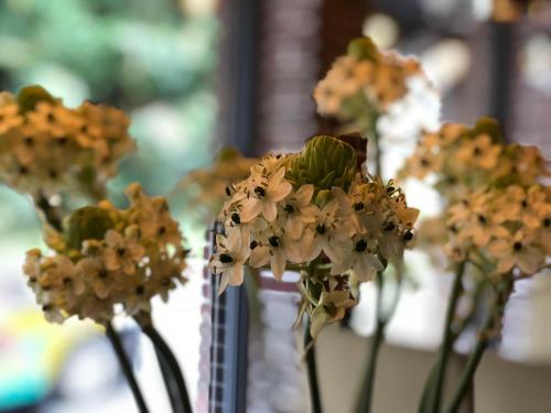 Sunshine B&B – New Taipei City, VA