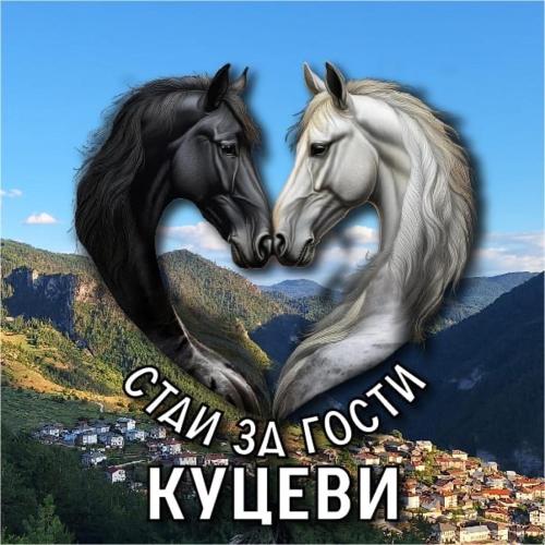 Стаи за гости Куцеви, Devin (foto 3)