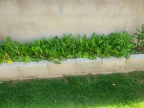 Arrival Center BnB Arrival Center BnB