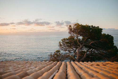 Sa Punta Dúplex Cala Ratjada