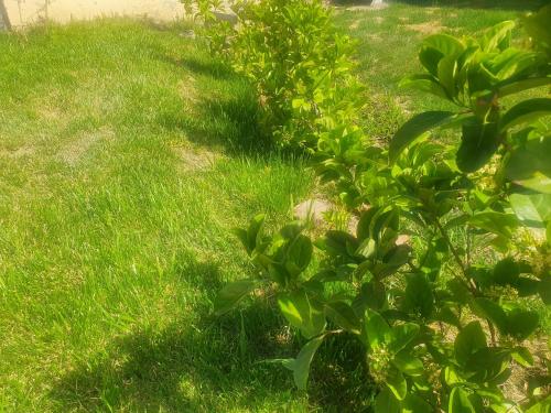 Arrival Center BnB Arrival Center BnB