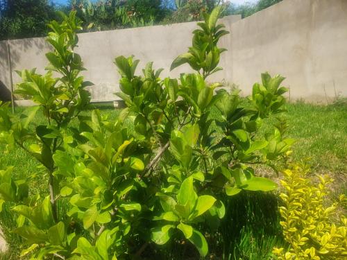 Arrival Center BnB Arrival Center BnB