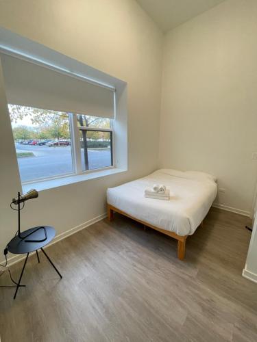 Private Rooms with Share Livingroom and Kitchen in Pilsen in Chicago, USA