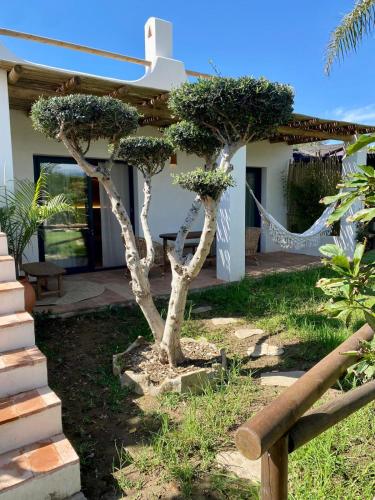 Kitecamp Tarifa 3