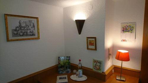 Pension Landhaus Fischer - main image
