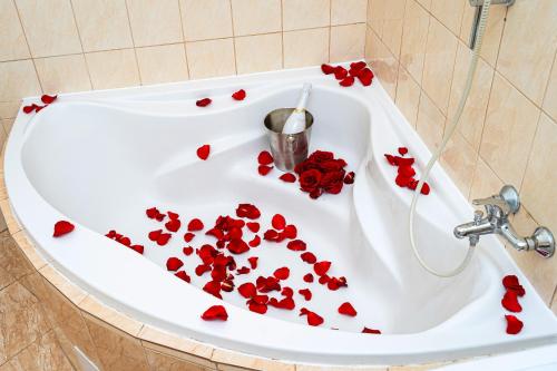 Victory Deluxe Suite