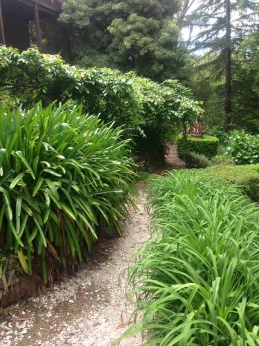 Bluebell Cottage In Leura Australia 40 Reviews Prices Planet