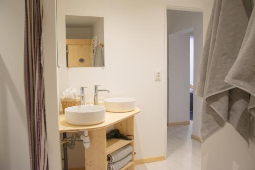 Grand appartement vue Montagne plein sud grand garage sur demande Grand appartement vue Montagne plein sud grand garage sur demande