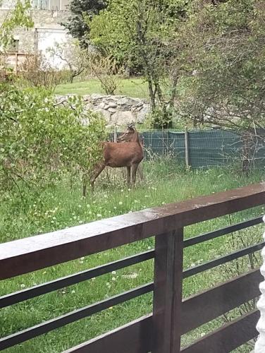 Grand appartement vue Montagne plein sud grand garage sur demande Grand appartement vue Montagne plein sud grand garage sur demande