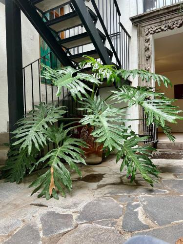 3 deptos en el mismo lugar: Penthouse con doble altura y magnífica arquitectura, Loft con cocina integral y Departamento en planta baja con patio. in San Miguel de Allende, Mexico