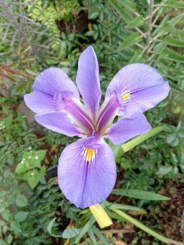 Hostal Vista Boquete