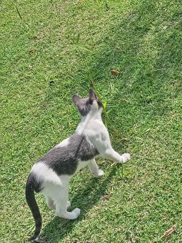 Hostal Vista Boquete