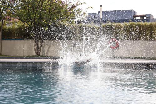 609944070 Holiday Inn Express Guadalajara Expo by IHG
