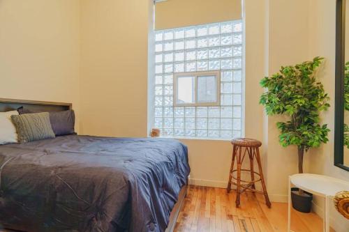 Prime Wicker Park Studio Close to Shops & Dining in Chicago, USA