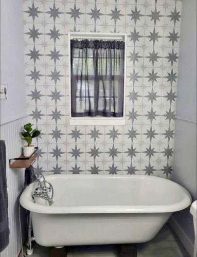 HOT TUB! Cozy Bungalow Downtown near River in New Braunfels, USA
