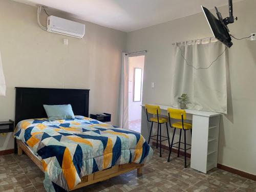 Departamento Céntrico, San Luis Potosí