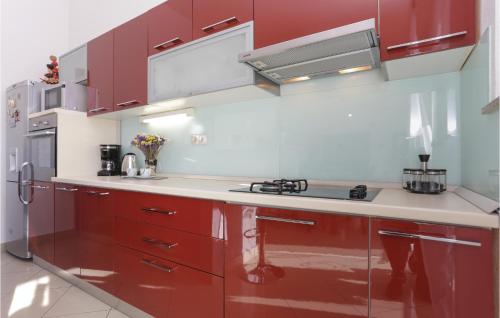 廚房, Three-Bedroom Apartment In Donja Ostrvica in 奧斯特維卡