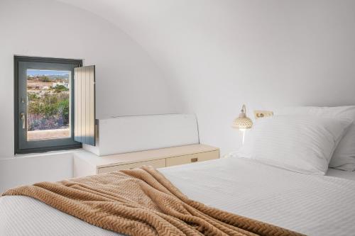 Cellaria Estate - image 2