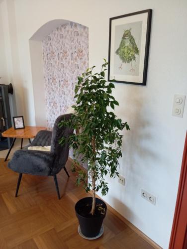 Wohnung im Grünen in Messenähe Wohnung im Grünen in Messenähe