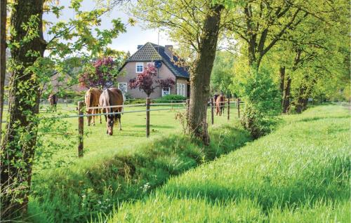 De Plek - image 4