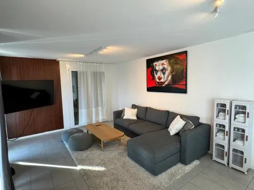 Great apartment in Lausanne in Lausanne, Schweiz