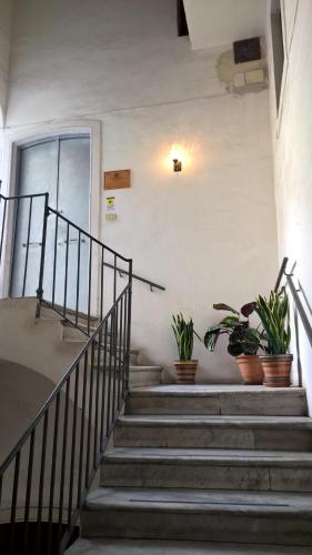 Amenano Bed & Breakfast - image 14