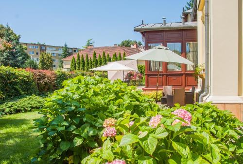 U Pana Cogito - main image