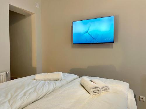 Cozy City Apartment im Zentrum, Norimberk (fotografie 9)