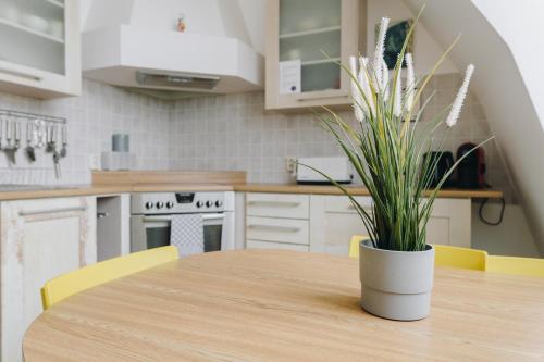 Apartment image 7