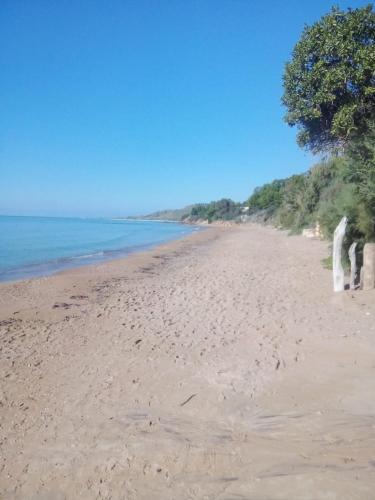 residence timpirussi