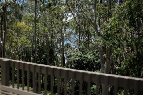 Treetops at Smiths, Smiths Lake (zdjęcie 2)