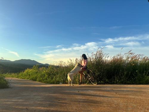 Lily's Stone Garden in Buon Buor