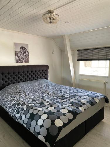 Fijne woning op hippische accommodatie aan de rand van Dokkum in Dongeradeel