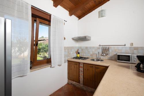 virtuve, Villa Lux Casa Histria in Katun Lindarski